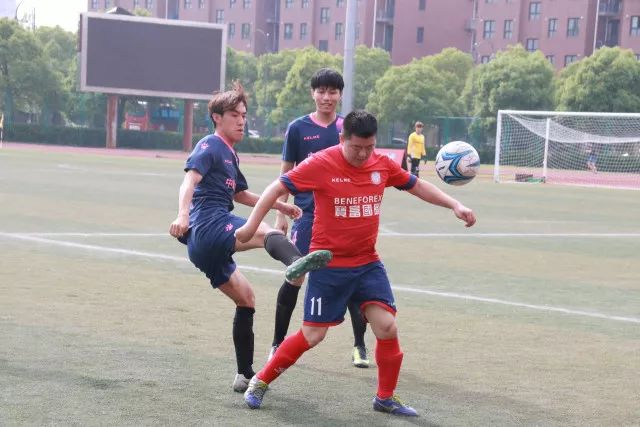 纬来体育应用下载